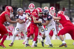 Lübeck Cougars unterliegen den Düsseldorf Panther mit 14:35